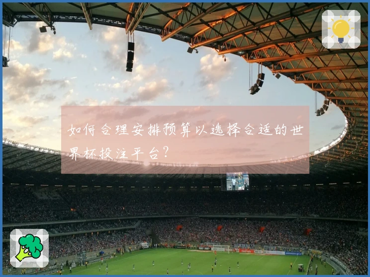 如何合理安排预算以选择合适的世界杯投注平台？