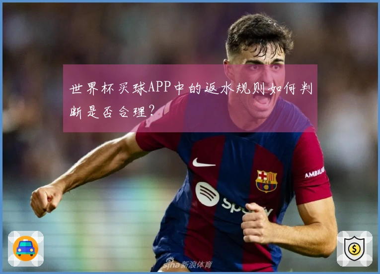世界杯买球APP中的返水规则如何判断是否合理？