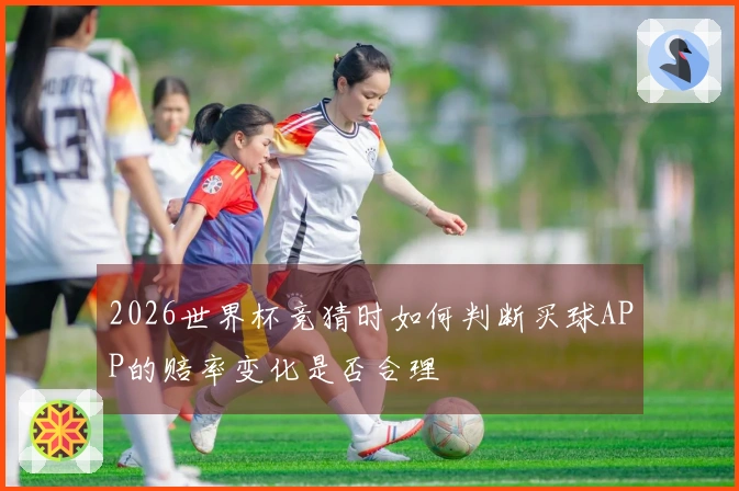 2026世界杯竞猜时如何判断买球APP的赔率变化是否合理
