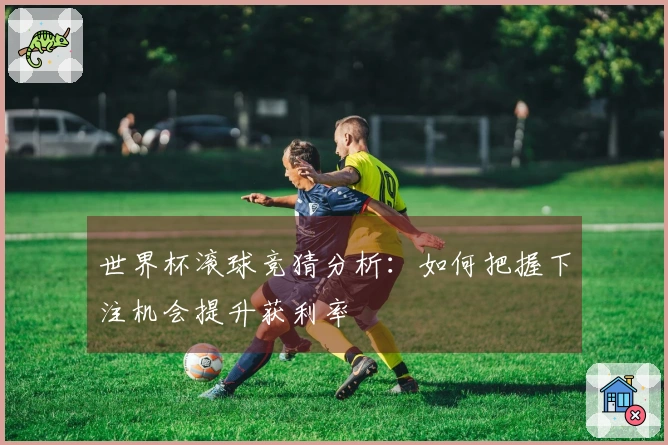 世界杯滚球竞猜分析：如何把握下注机会提升获利率