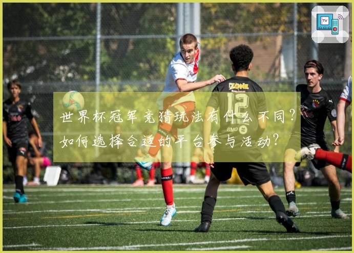 世界杯冠军竞猜玩法有什么不同？如何选择合适的平台参与活动？