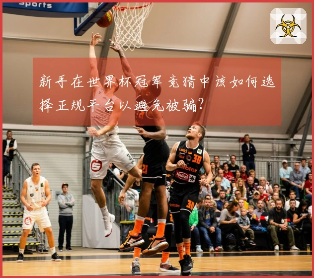 新手在世界杯冠军竞猜中该如何选择正规平台以避免被骗？