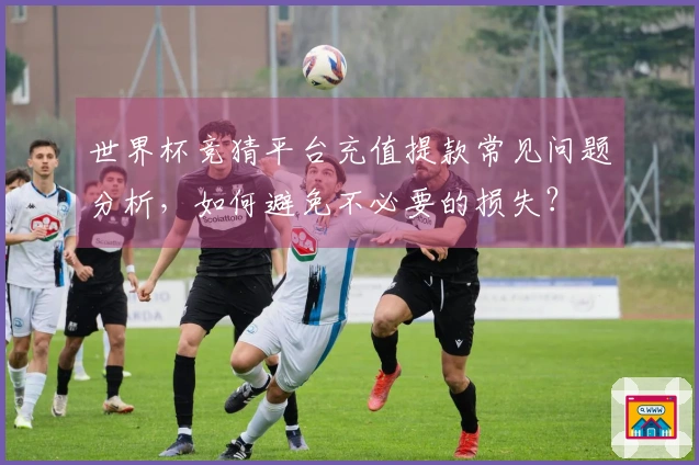 世界杯竞猜平台充值提款常见问题分析，如何避免不必要的损失？