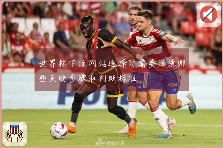 世界杯下注网站选择时需要注意哪些关键步骤和判断标准
