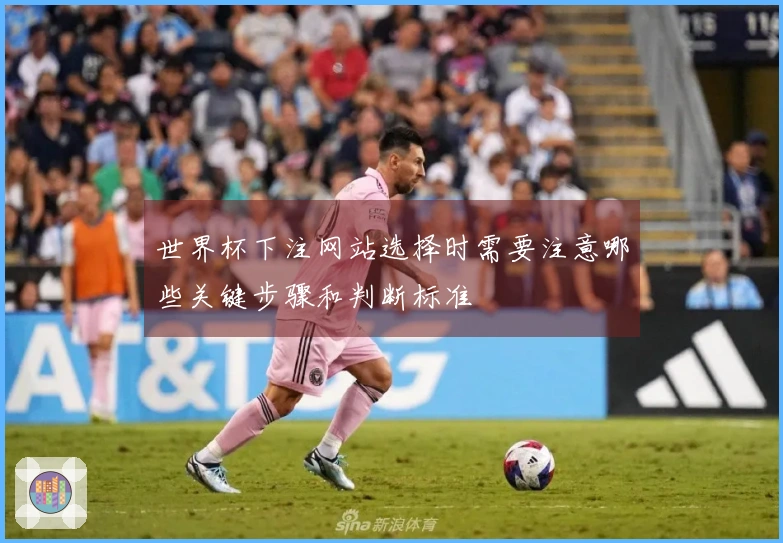 世界杯下注网站选择时需要注意哪些关键步骤和判断标准