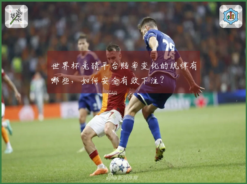 世界杯竞猜平台赔率变化的规律有哪些,如何安全有效下注?