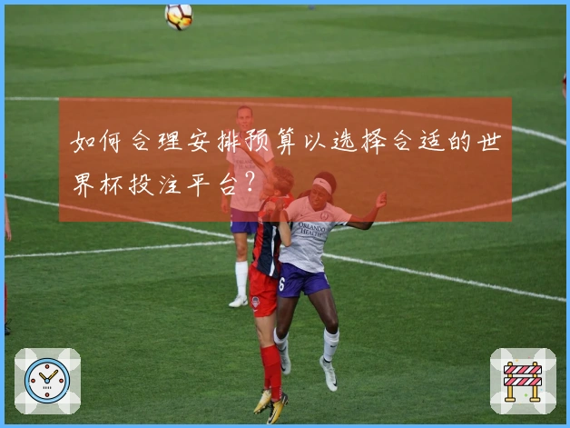 如何合理安排预算以选择合适的世界杯投注平台？