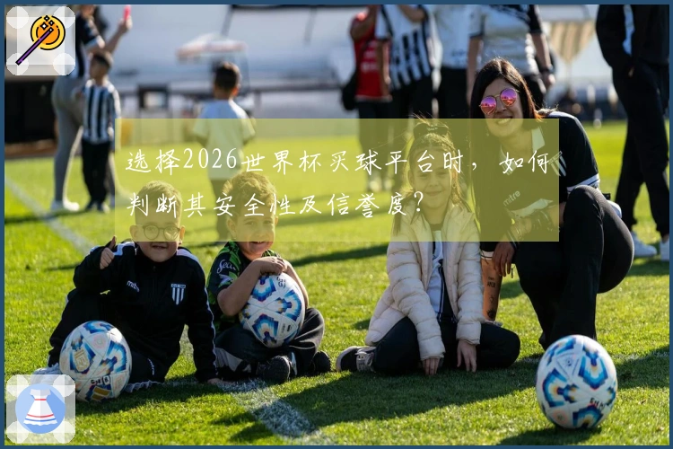 选择2026世界杯买球平台时，如何判断其安全性及信誉度？