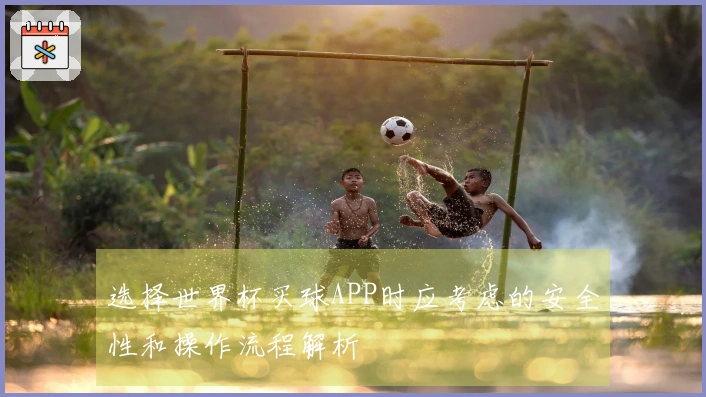 选择世界杯买球APP时应考虑的安全性和操作流程解析
