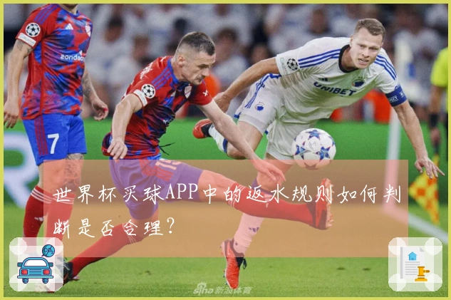 世界杯买球APP中的返水规则如何判断是否合理？