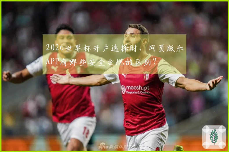 2026世界杯开户选择时，网页版和APP有哪些安全合规的区别？